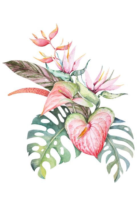Tropical Flowers 7 - LHKLDesigns - Digital Art, Flowers, Plants ...