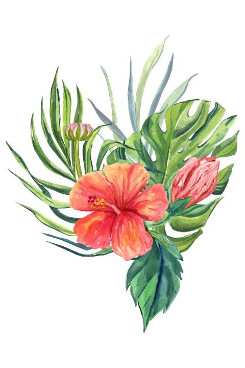Tropical Flowers 12 - AdorableArt - Digital Art & AI, Flowers, Plants ...