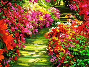 Carolina Garden - Sheila Flynt - Digital Art, Flowers, Plants, & Trees ...