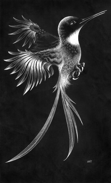 Hummingbird - Melvyn Hardman