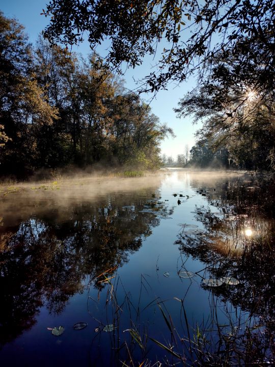 Cloaked in fog - LTG Photography - Photography, Landscapes & Nature ...