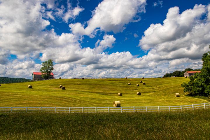 Bales In The Field - yesterdayphotography - Photography, Landscapes ...