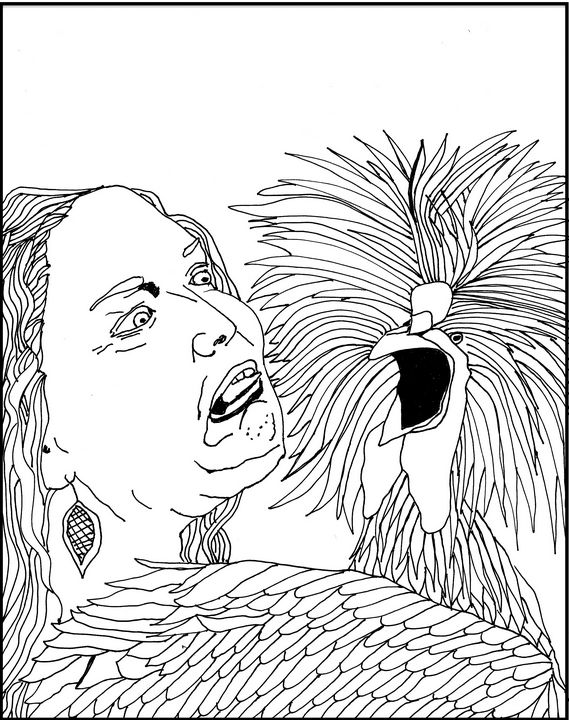 Birds in Beards Coloring Book by Shoshanah Lee Marohn Birds in Beards Coloring Book by Shoshanah Lee Marohn