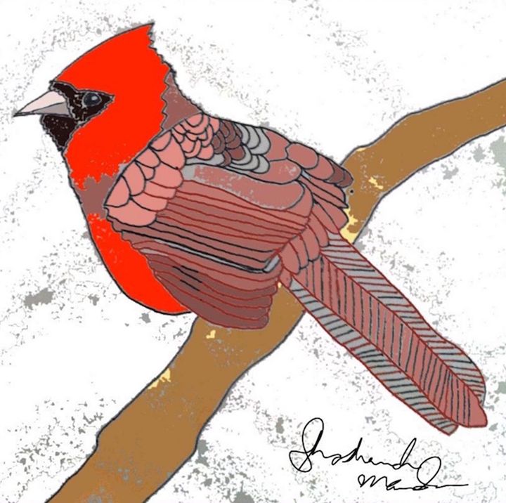 Birds in Beards Coloring Book by Shoshanah Lee Marohn Birds in Beards Coloring Book by Shoshanah Lee Marohn