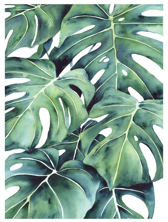 modern plant paintings