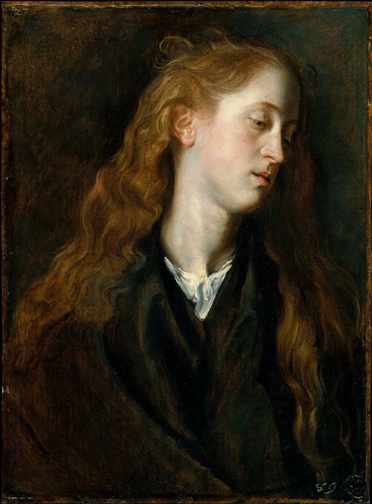 Anthony van Dyck~Study Head of a You - Old master image