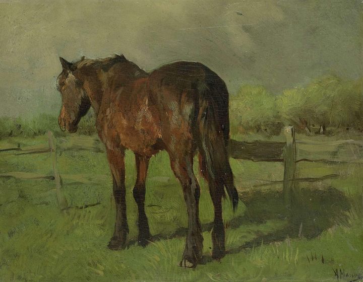 Anton Mauve~Paard - Old master image