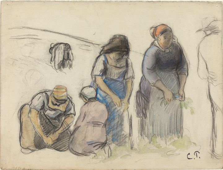 Camille Pissarro~Pea Harvesters [rec - Old master image