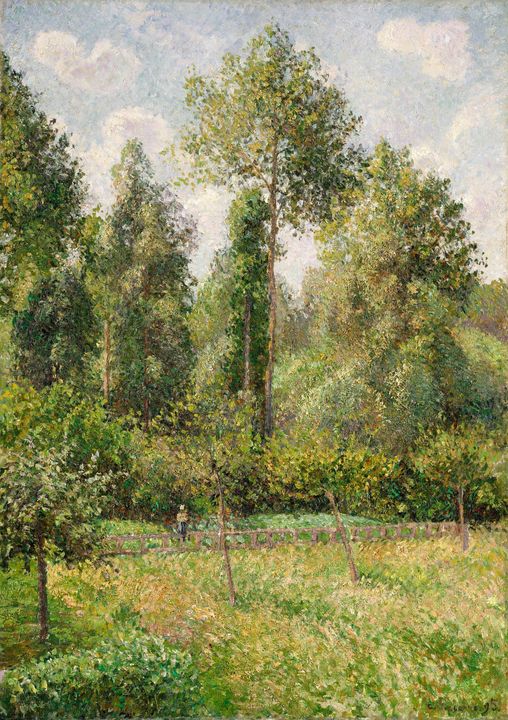 Camille Pissarro~Poplars, Éragny - Old master image