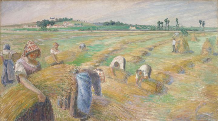 Camille Pissarro~The Harvest - Old master image