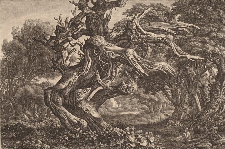 Carl Wilhelm Kolbe~A Dead Oak Tree - Old master image