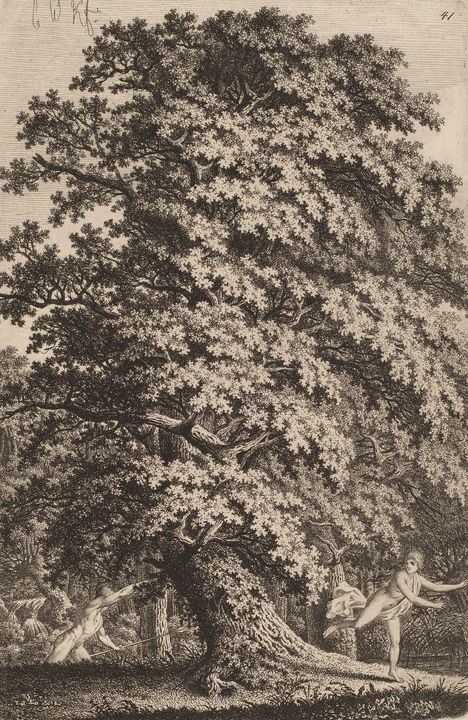 Carl Wilhelm Kolbe~A Large Oak Tree - Old master image