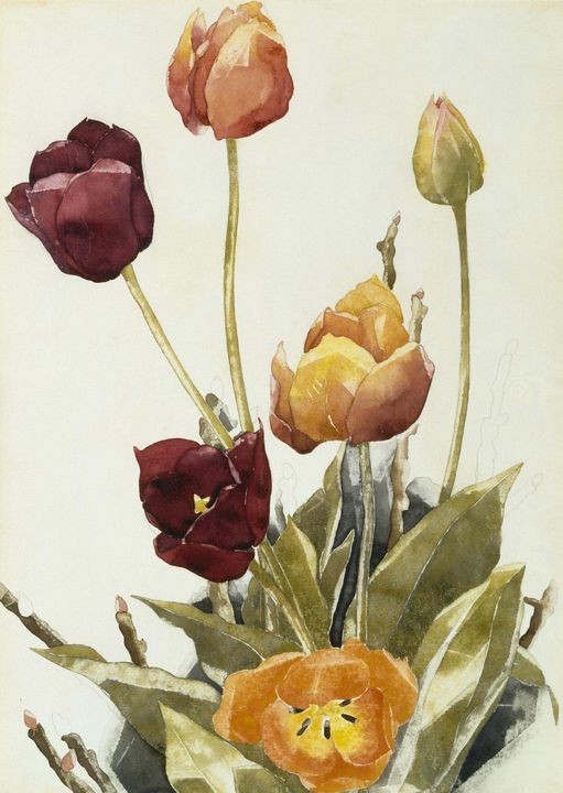 Charles Demuth~Tulips - Old master image