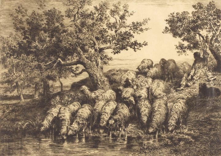 Charles Jacque~Sheep at the Watering - Old master image