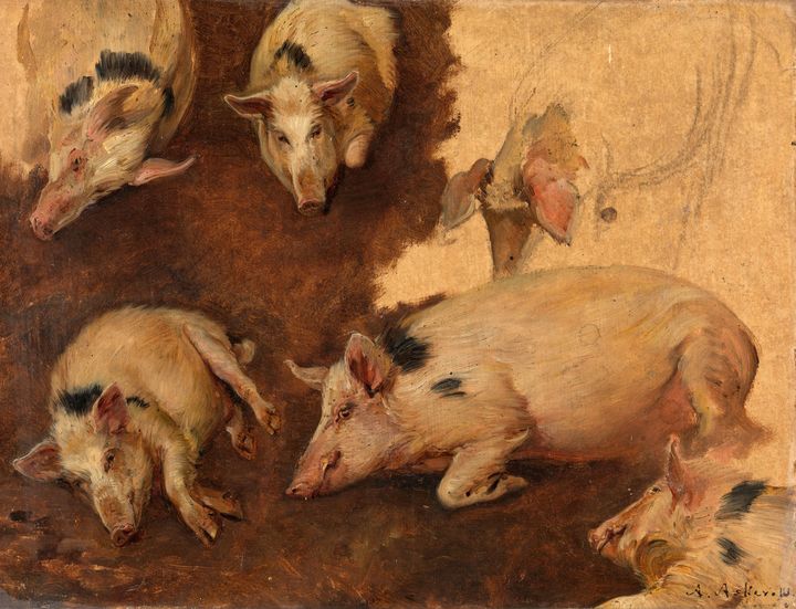 Hot ass in pig tait Anders Askevold Study Of Six Pigs Old Master Image Paintings Prints Ethnic Cultural Tribal African American Artpal