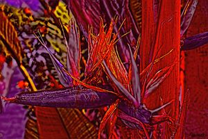 Color Flight #3