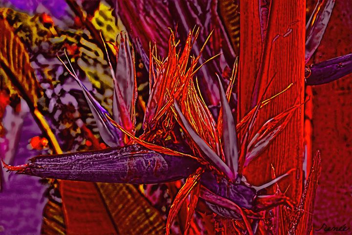 Color Flight #3 - Renee Anderson