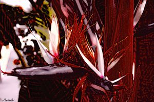 Color Flight #5