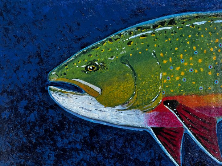 Brook Trout on River Rock - Delestrezart - Paintings & Prints, Animals,  Birds, & Fish, Aquatic Life, Fish, Freshwater Fish - ArtPal