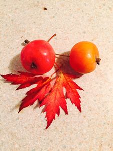 fruit