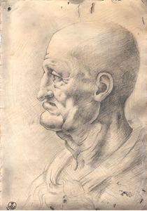 Head of old man (Da Vinci copy) - A.yerkesh - Drawings