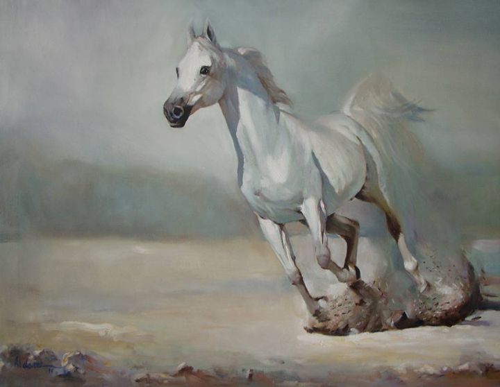 white horse - dami