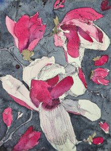 Lily Magnolia
