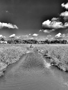 Waterway - Joseph Thaler Photo Art