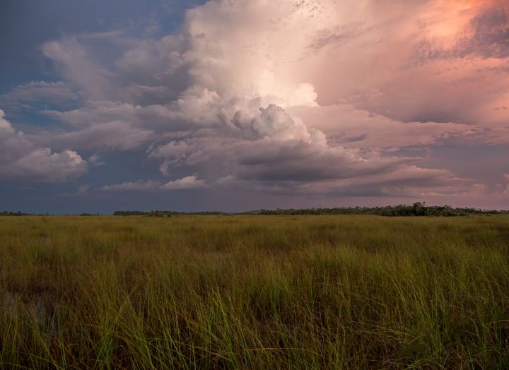 Everglades National Park. - YD.Firingo.