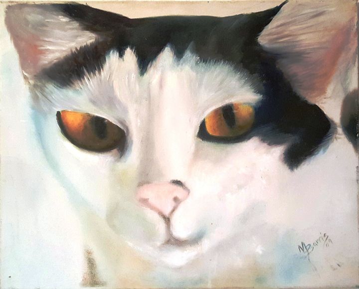 Cat Face - Academy of Fine Art & Studio