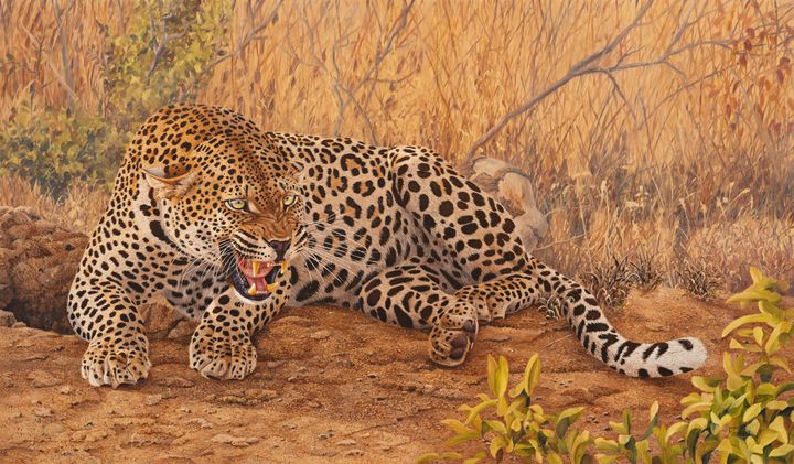 Spitting Fury - Wehan van der westhuizen T/A W Traders