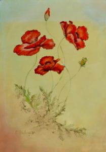 Three Red Poppies