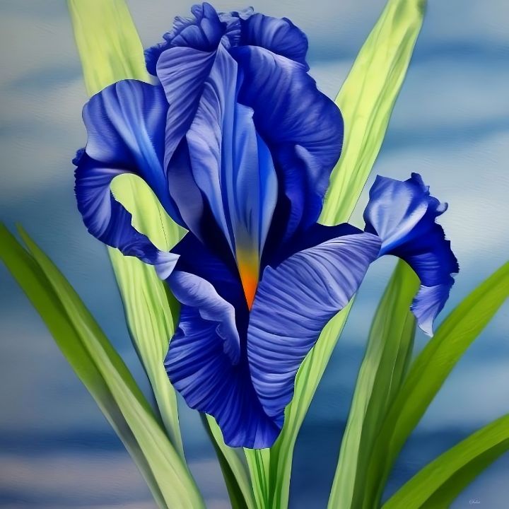 oil painting of beautiful blue iris - IRIS