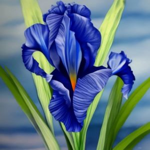 oil painting of beautiful blue iris