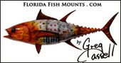 Florida Fish Mounts