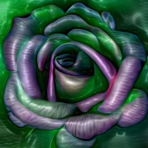 Glassy Rose