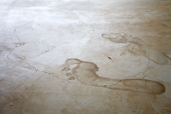Footprint - Morgan Beard
