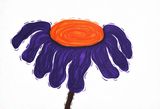 Purple and orange flower