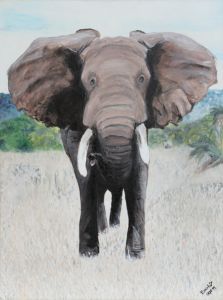 Elephant - do you see the elephant?