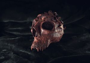 Teschiosso Sculpt C