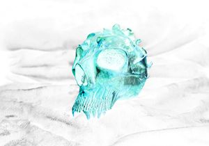 Teschiosso Sculpt N