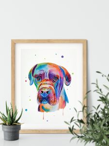 Rainbow Animals - Paintings & Prints