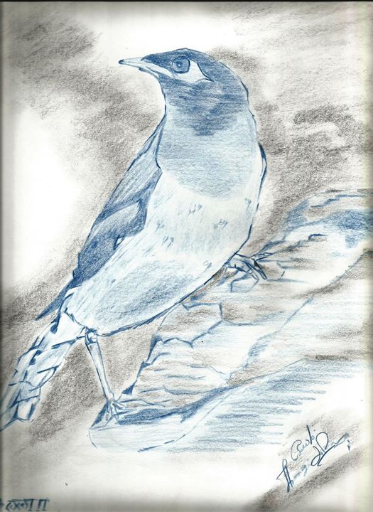 Buy Blue Jay Colored Pencil Drawing Art Print Online in India 