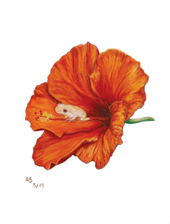 puerto rico flower drawing