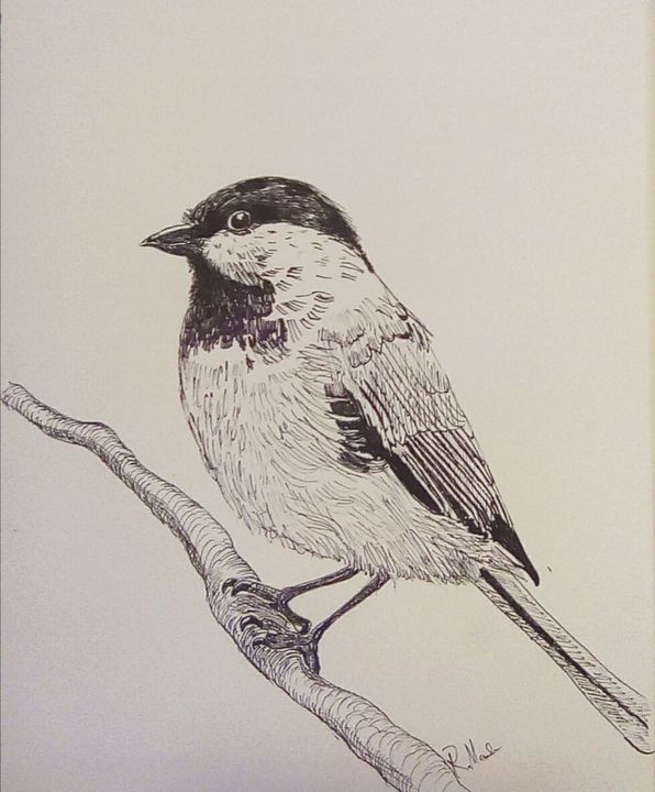 Sparrow blackandgray swallow Bird flight tattoo Artist hand Ballpoint  pen painted hand Drawing paint Splatter  Anyrgb