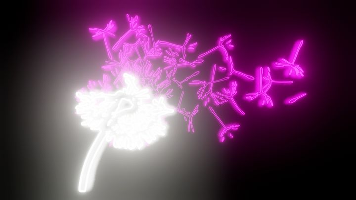 Dandelion Neon Flower - Wallking Art