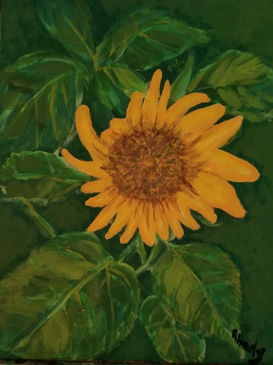 Sunflower - Rtwork by Robin