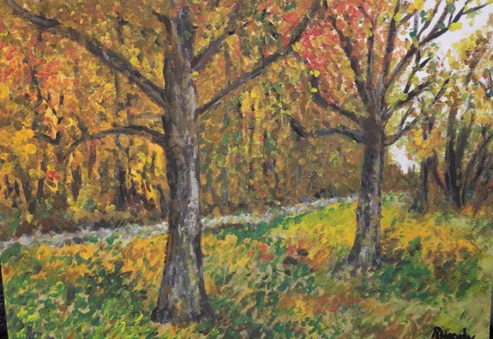 Osk Trees in Autumn - Rtwork by Robin