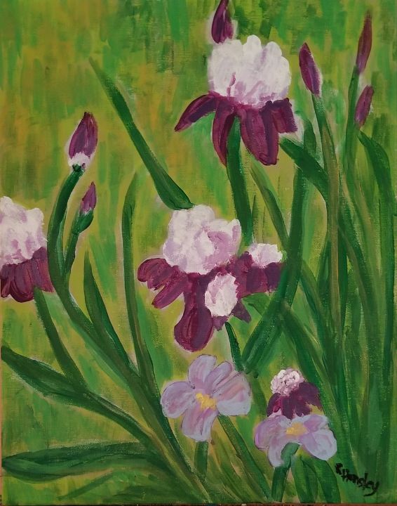 Iris in Bloom - Rtwork by Robin