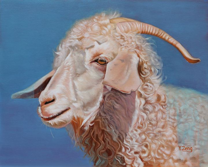 Angora goat - Wikipedia